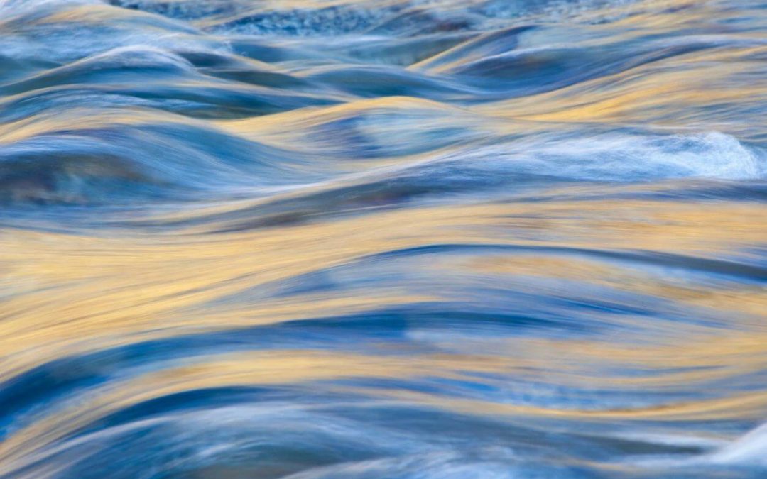 How to Get Rid of Algae in Your Swimming Pool